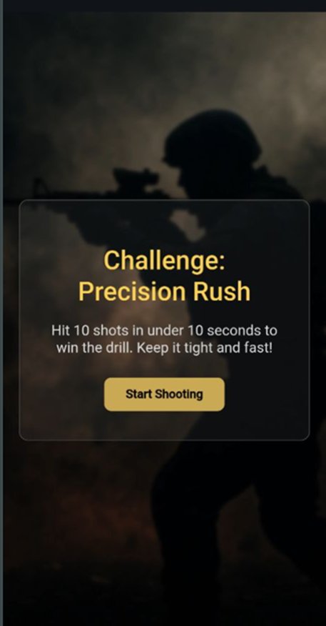 Precision Rush challenge brief